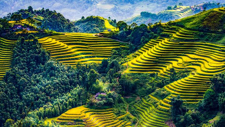 Forestival 2025 và Hotspot Matrix: Một sự kiện video ngắn độc đáo