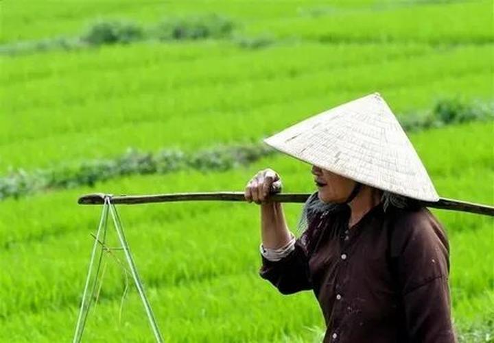 Phương Oanh diện set đồ 50 - Cảm hứng video marketing từ Hotspot Matrix