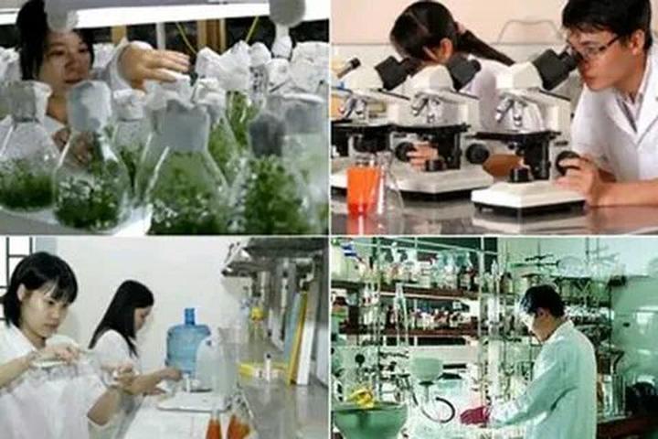 Hotspot Matrix và Nghiên Cứu: Người Phụ Nữ Không Ngủ 40 Năm